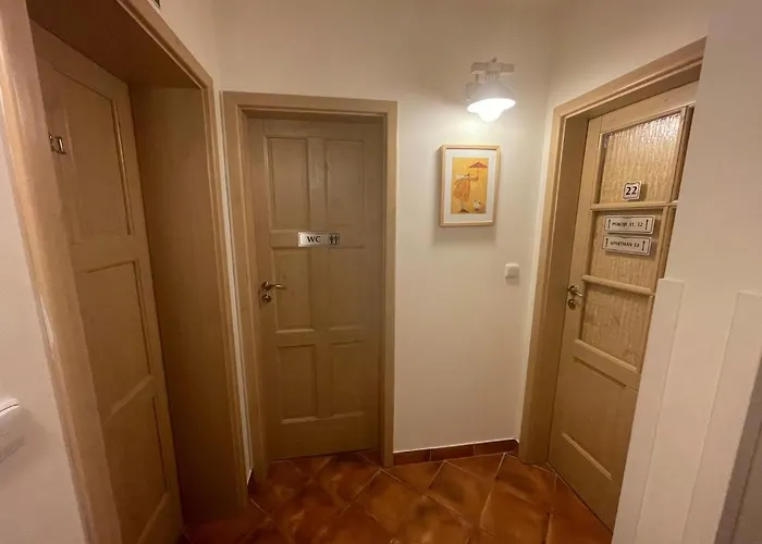 Dorotka Daire